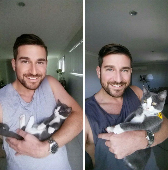 Frankie, 6 semanas despu&eacute;s de ser adoptado