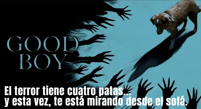 Good Boy (2025): el terror más fiel del año mira desde los ojos de un perro